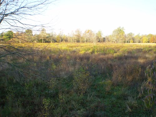 Property photo 1 - 202+/- Acres Offered in 7 Tracts